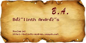 Bálinth András névjegykártya